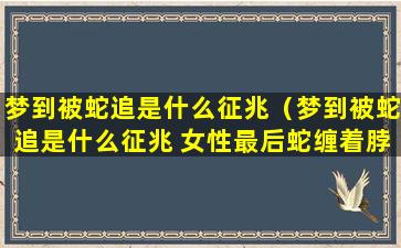 梦到被蛇追是什么征兆（梦到被蛇追是什么征兆 女性最后蛇缠着脖子征兆）